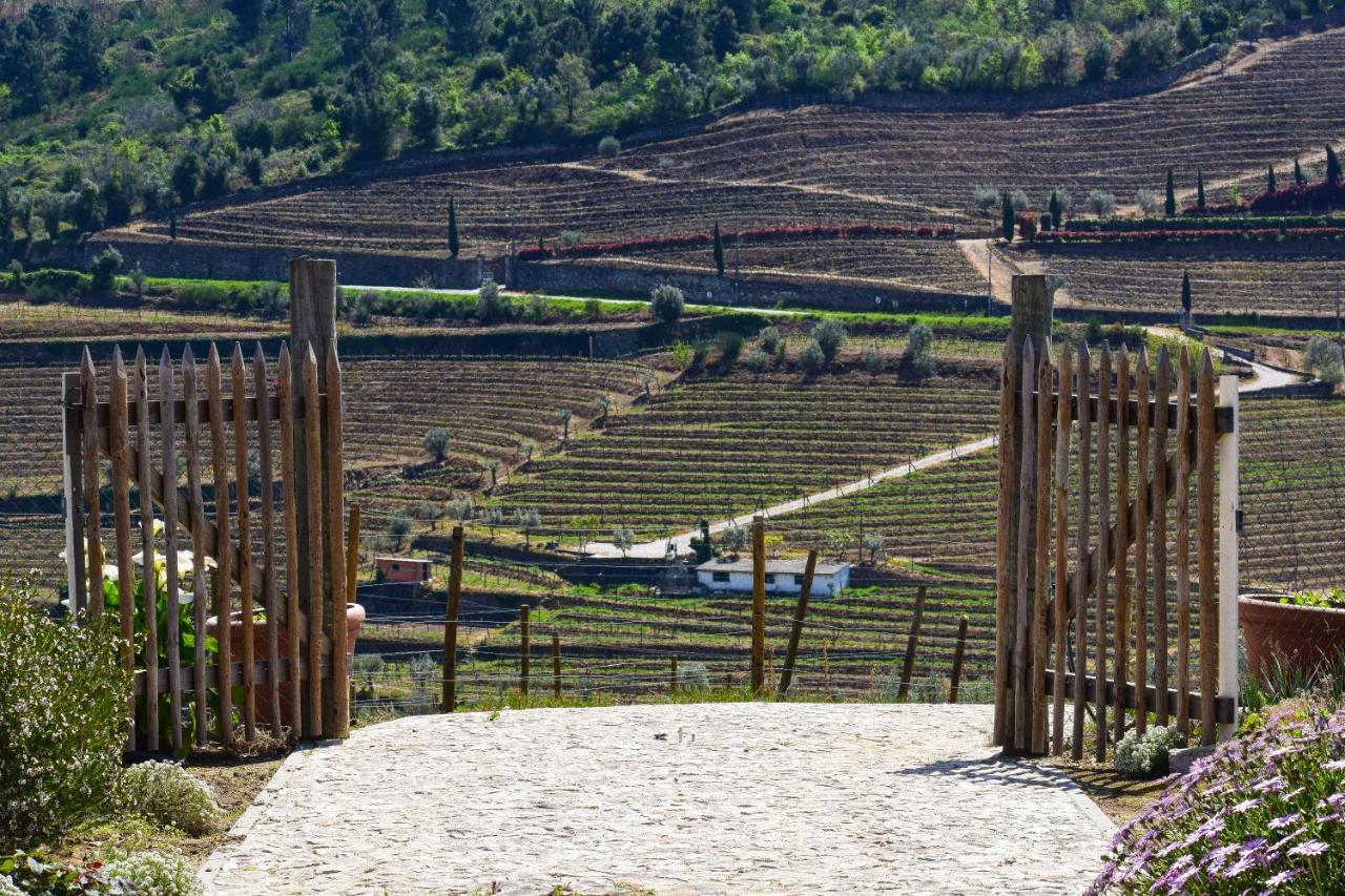 Quinta Dos Padrinhos - Suites In The Heart Of The Douro Lamego Eksteriør bilde