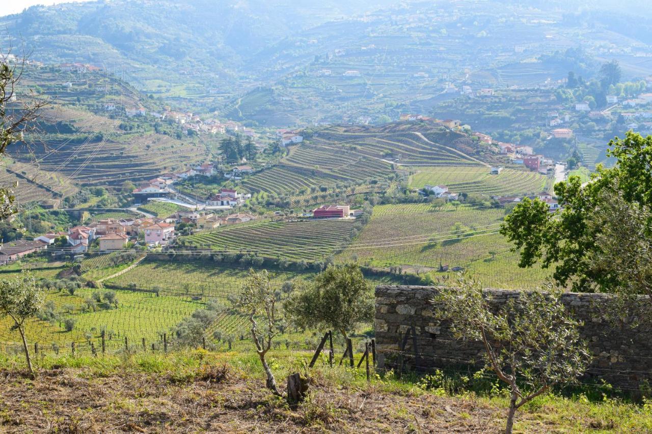 Quinta Dos Padrinhos - Suites In The Heart Of The Douro Lamego Eksteriør bilde