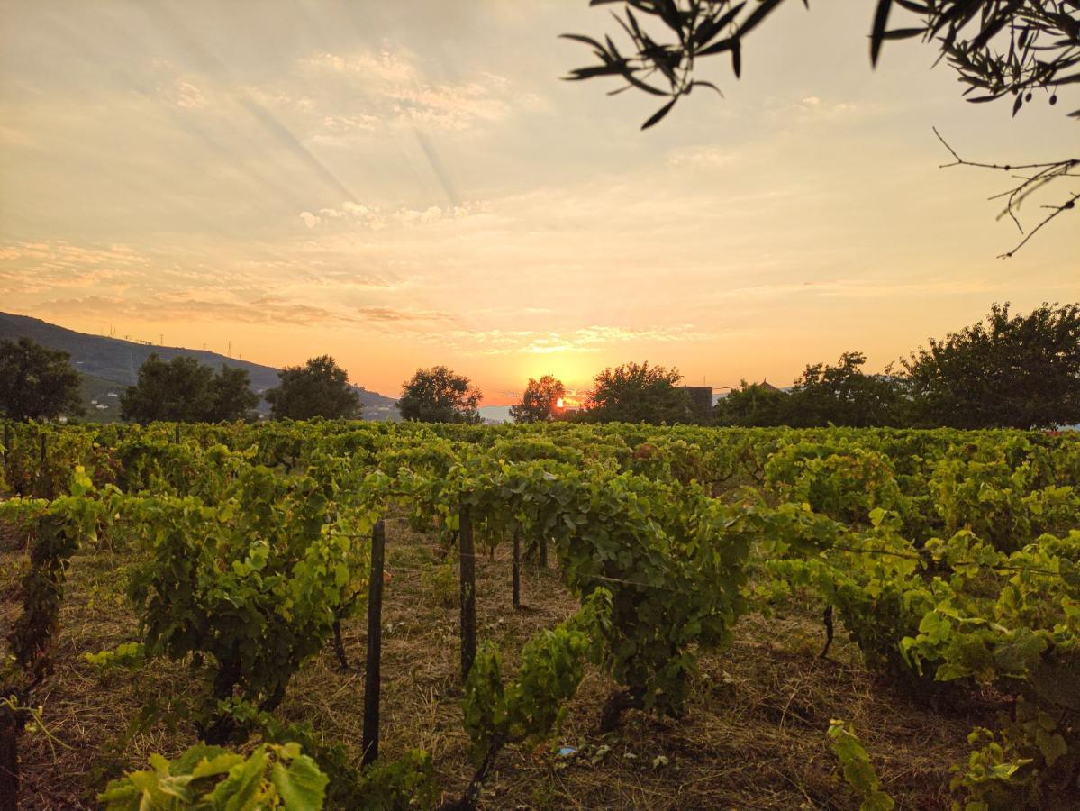 Quinta Dos Padrinhos - Suites In The Heart Of The Douro Lamego Eksteriør bilde
