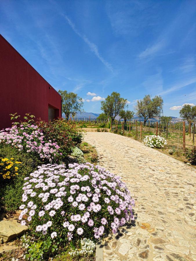 Quinta Dos Padrinhos - Suites In The Heart Of The Douro Lamego Eksteriør bilde
