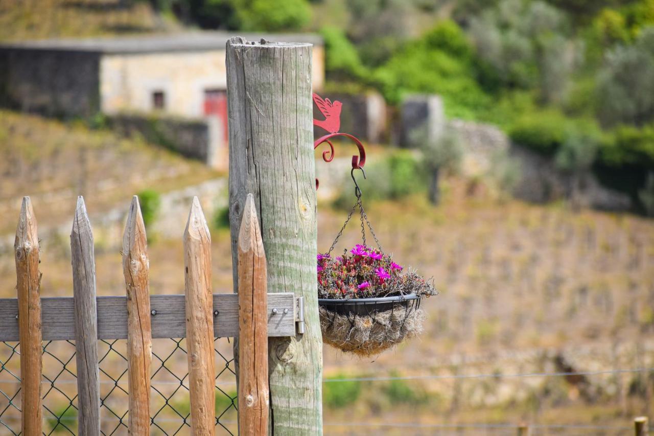 Quinta Dos Padrinhos - Suites In The Heart Of The Douro Lamego Eksteriør bilde