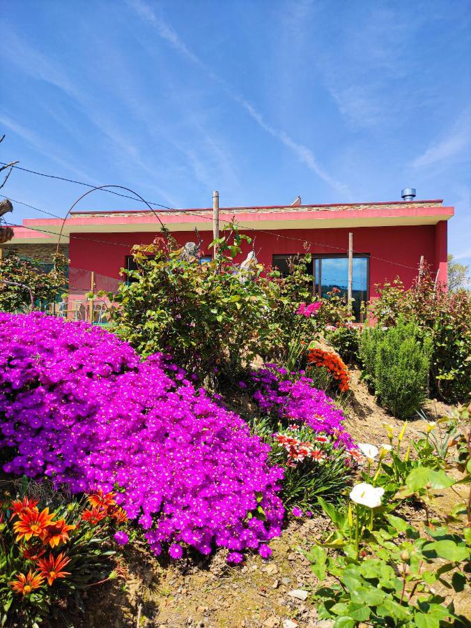 Quinta Dos Padrinhos - Suites In The Heart Of The Douro Lamego Eksteriør bilde