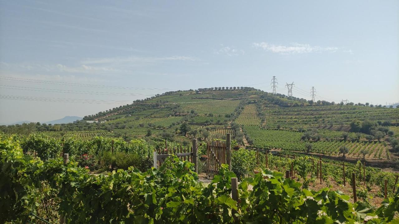 Quinta Dos Padrinhos - Suites In The Heart Of The Douro Lamego Eksteriør bilde