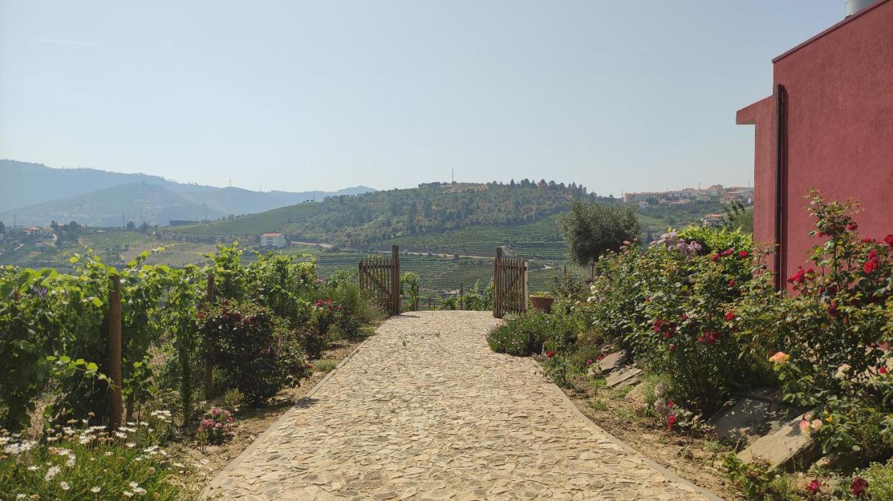 Quinta Dos Padrinhos - Suites In The Heart Of The Douro Lamego Eksteriør bilde