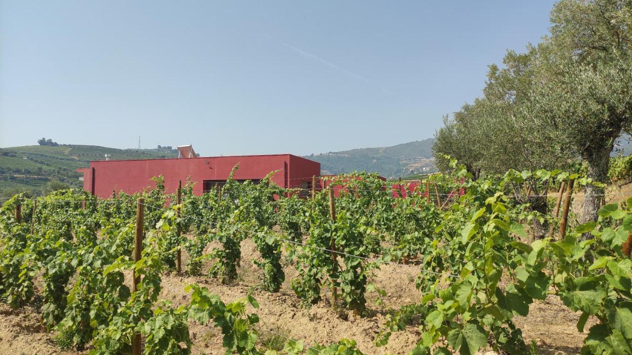 Quinta Dos Padrinhos - Suites In The Heart Of The Douro Lamego Eksteriør bilde