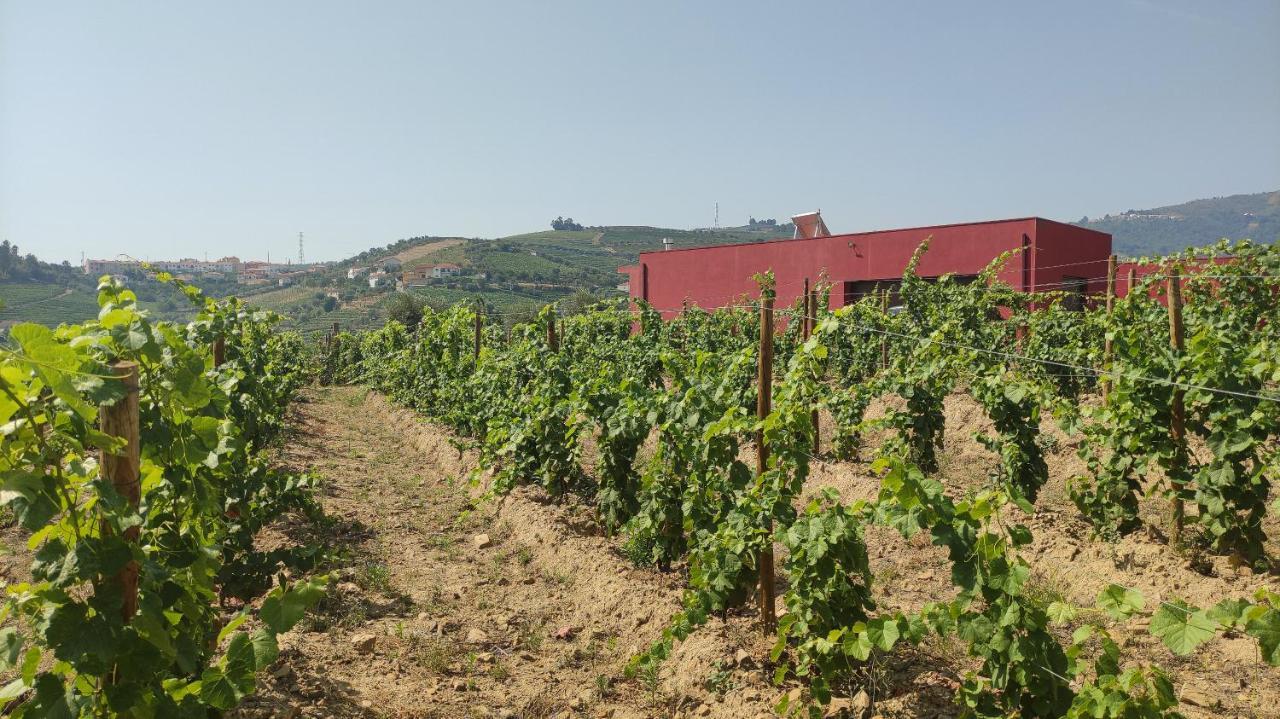 Quinta Dos Padrinhos - Suites In The Heart Of The Douro Lamego Eksteriør bilde