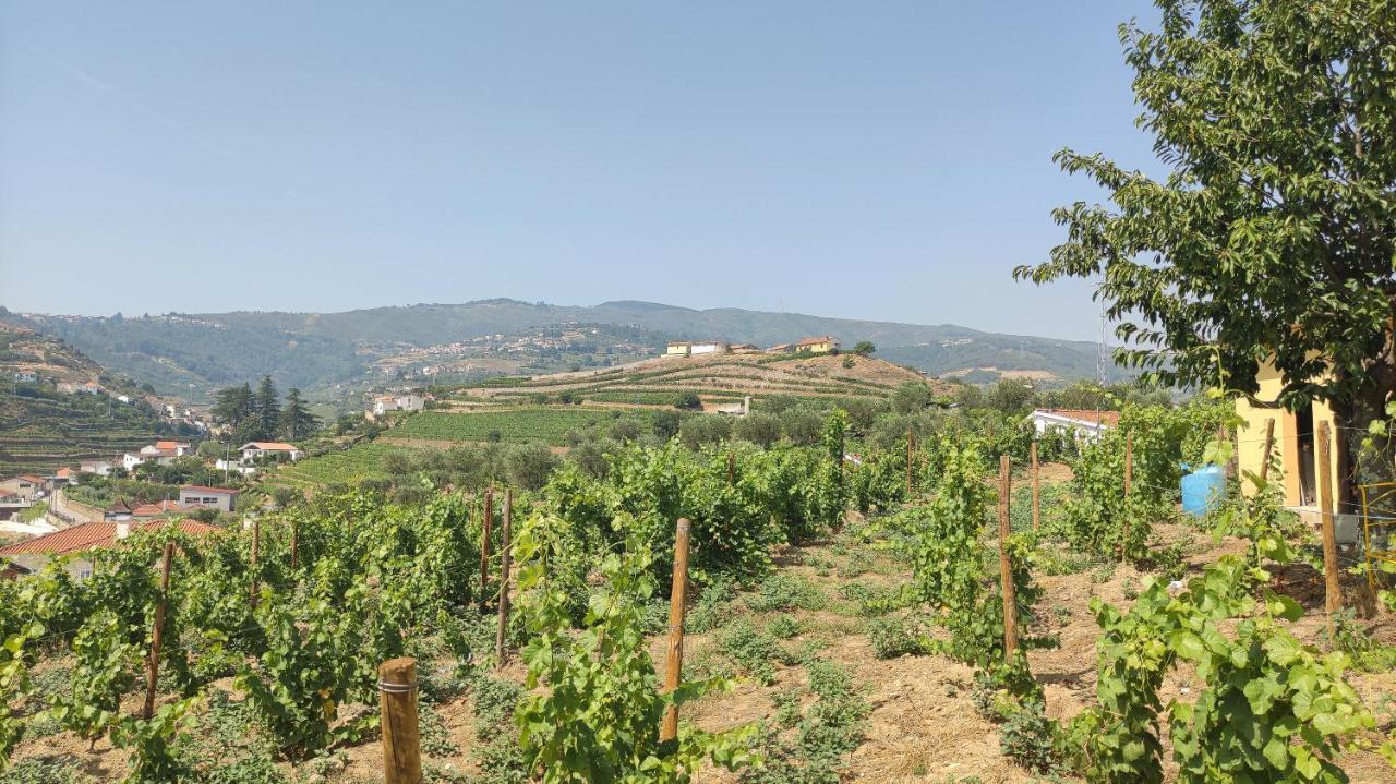Quinta Dos Padrinhos - Suites In The Heart Of The Douro Lamego Eksteriør bilde