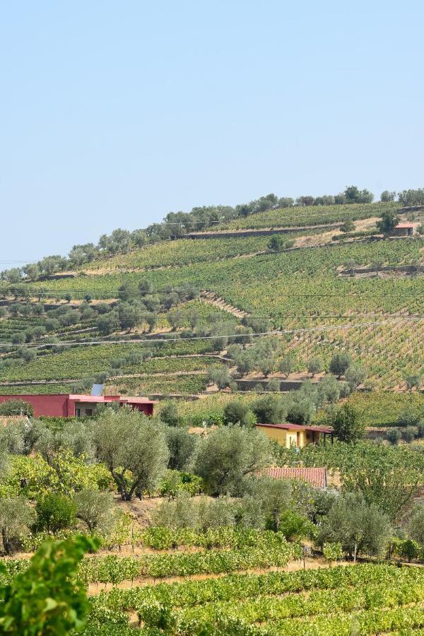 Quinta Dos Padrinhos - Suites In The Heart Of The Douro Lamego Eksteriør bilde